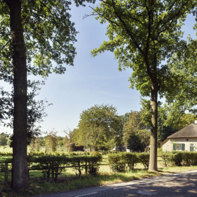 HILBERINKBOSCH_Rijksmonumentale boerderij Pepereind, Cromvoirt, foto Rene de Wit