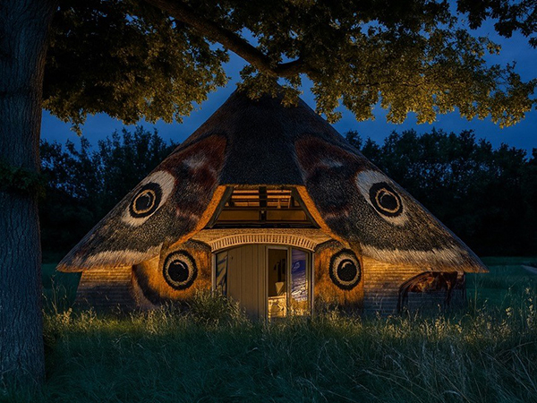 Zeldzame nachtvlinder gespot