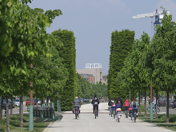 De Groene Loper genomineerd